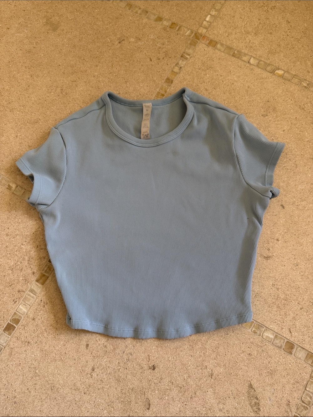 ALO Yoga Light Blue Ribbed Crewneck Tee